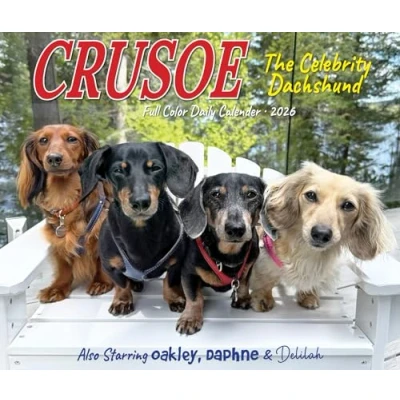 Image of Crusoe The Dachshund Desk Calendar 2026