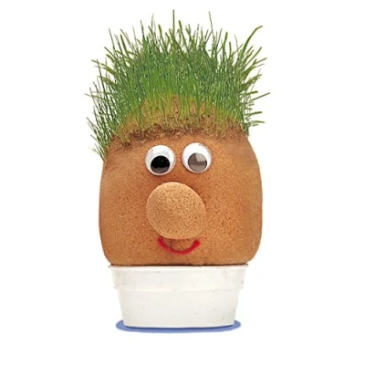 Image of Tobar 5038728010860 MR GRASSHEAD, Mixed, 100 x 75 130 millimeters