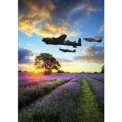 Image of Medici Photographic &#039;Happy Birthday&#039; Greeting Card English Countryside Lavender Fields &amp; Bomber Aeroplane From The Great British Company