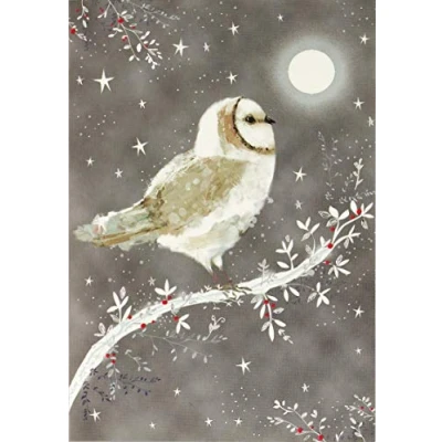 Image of Starry Night Owl Small Boxed Holiday Cards (Christmas Cards, Greeting Cards)