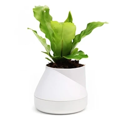 Image of QUALY Self Watering Flower Pot, White, 10x13 cm