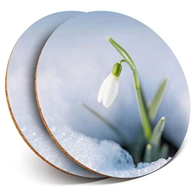 Image of 2 x Round Coasters Pretty Snowdrop Flower Fun Cork Backed Home Kitchen Accessory Tea Coffee Mug Mat #2063