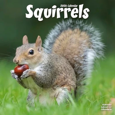 Image of Squirrels Calendar 2026