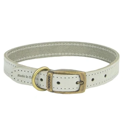 Image of Ancol Timberwolf Dog Leather Collar in Light Grey Comfortable Top Grain Bridle Pet Accessory Adjustable Puppy Neckband 20 26cm Size 1