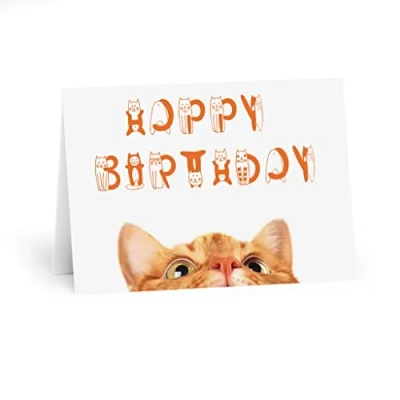 Image of Cat Themed Happy Birthday Card Adorable Orange Peekaboo Design, Fun Feline Lettering for Lovers, Blank Inside Personalized Wishes
