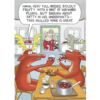 Image of Paperlink Humorous Christmas Greeting Card Mulled Wine Or Santa From The &amp; Co Range Funny Joke Suitable For Him / Her, Multicoloured, 130 x 180 mm