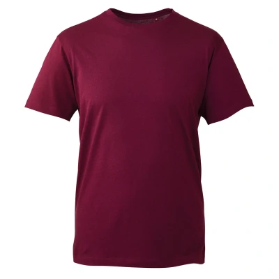 Image of Anthem T Shirt, Burgundy, 4XL