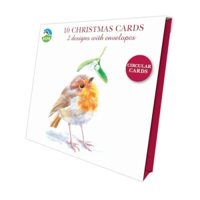 Image of Inquisitive Robins RSPB Luxury Christmas 10 Card Pack