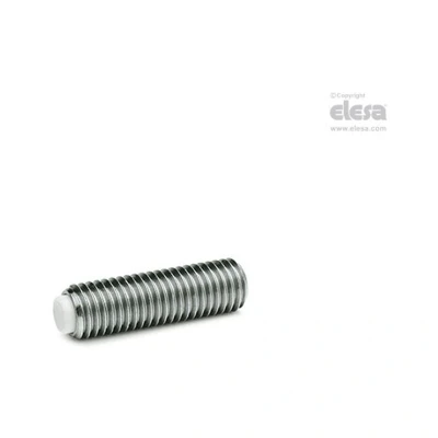 Image of ELESA Grub screw GN 913.5 M10 40 MS