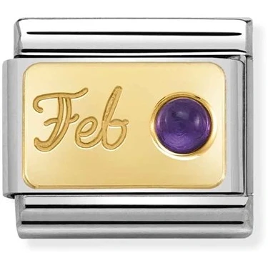 Image of Nomination February Amethyst Birthstone Charm