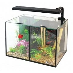 Image of Aqua One Betta Duo Aquarium 20 Litre