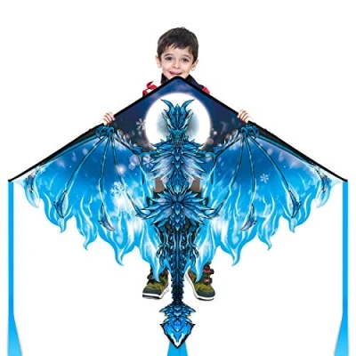Image of Dragon Kite for Kids Adults, Easy to Fly Best Delta Beach Kite, 300ft String(Ice)
