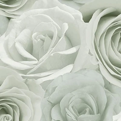 Image of Melany Rose Floral Wallpaper World of Ideal for Lounges, Bedrooms, Dining Rooms and Hallways (Sage Green)
