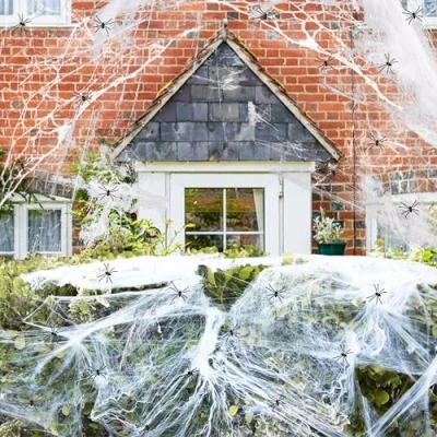 Image of I LOVE FANCY DRESS Spider Web Decoration 100g Perfect For Halloween Pack OF 1