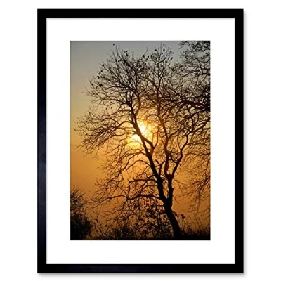 Image of Wee Blue Coo Sunrise Backlight Silhouette Tree Art Picture Framed Wall Print