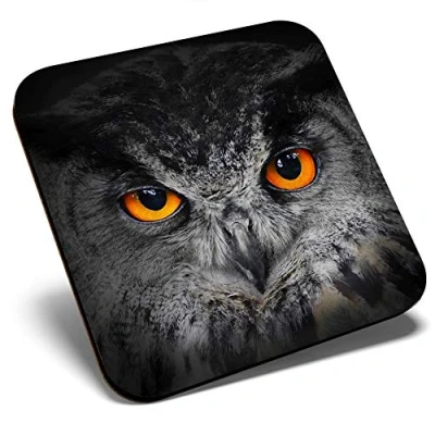 Image of Great Single Coaster Square Beautiful Owl Eyes Bird Owls Glossy Quality Coasters Tabletop Protection for Any Table Type #8252