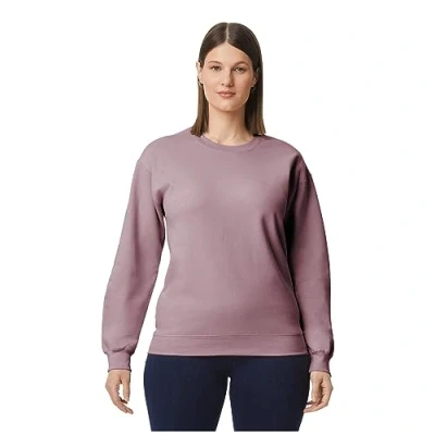 Image of Gildan Unisex Adult Softstyle Fleece Midweight Pullover (XL) (Paragon)