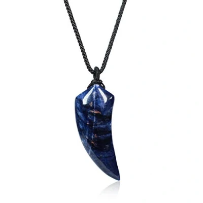 Image of COAI Protection Amulet Wolf Tooth Sodalite Blue Stone Necklace