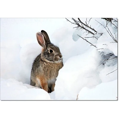 Image of doodlecards Pack of 10 Christmas Cards and Envelopes Wildlife Rabbit. Printed in UK, Premium Quality &amp; 100% Recyclable.