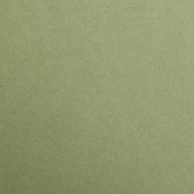 Image of Clairefontaine Ref 397270C Maya Coloured Smooth Drawing Paper (Pack of 125 Sheets) 270gsm 50 x 70cm Khaki Colour Deep Dyed, Acid Free, pH Neutral