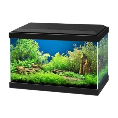 Image of Ciano Aqua 20 Aquarium with LED Lights &amp; Filter BLACK