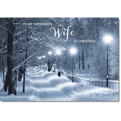 Image of doodlecards Wife Christmas Card Snowy Street Scene Large A4 Size for with Plain Envelope