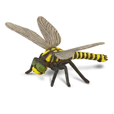 Image of CollectA Golden Ringed Dragonfly