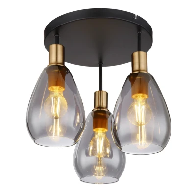Image of Fanni Shade Cluster Ceiling Light Matt Black Smoke Glass 3x E27