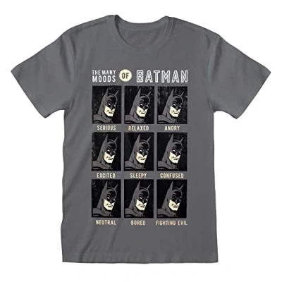 Image of Heroes Inc DC Batman T Shirt Many Moods of Size L Shirts Gray