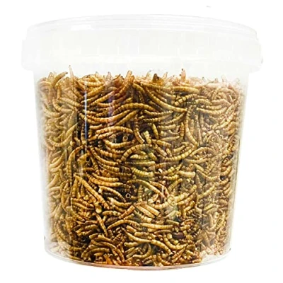 Image of UK GROW Premium Dried Mealworms 20L in a Bucket/Tub (20 Ltr)