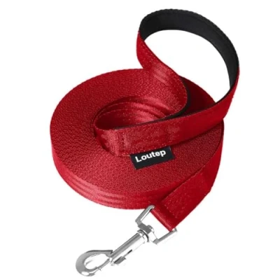 Image of Loutep Training Lead for Dogs 3m 5m 10m 15m 20m 25m 30m Strong Nylon Rope Extra Long Line Dog Leash with Padded Handle Large Medium Small Puppy Recall Pet Walking Obedience Outdoor Play
