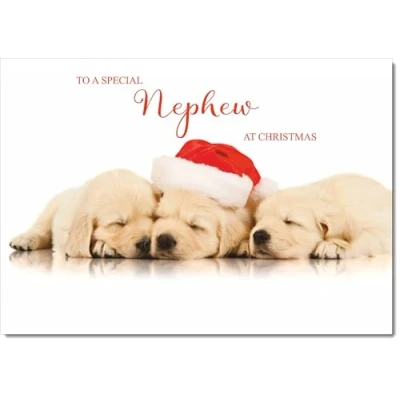 Image of doodlecards Nephew Christmas Card Puppies with Santa Hat Medium Size for Plain Envelope