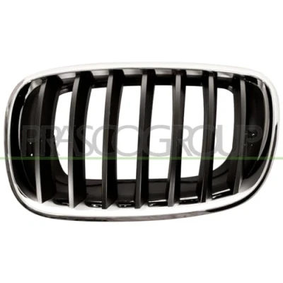 Image of 51137157687, 51137305589 Radiator Grill PRASCO BM8222004 Left chrome/black BMW: X5