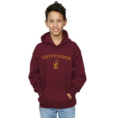 Image of Harry Potter Gryffindor boys&#039;s Children&#039;s sweatshirt in Multicolour