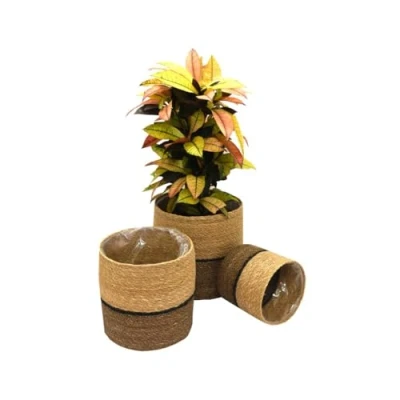 Image of Garden Gear Chia Seagrass Planter Basket Indoor with Interior Plastic Coating Hiding Pots 3 Pack (Natural Navy Plante)
