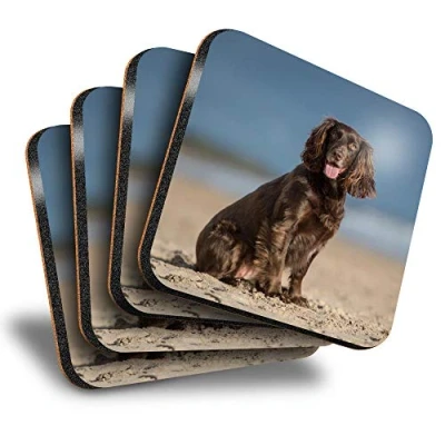 Image of Destination Vinyl ltd Great Coasters (Set of 4) Square Cocker Spaniel Puppy Dog Drink Glossy Coasters/Tabletop Protection for Any Table Type #12508