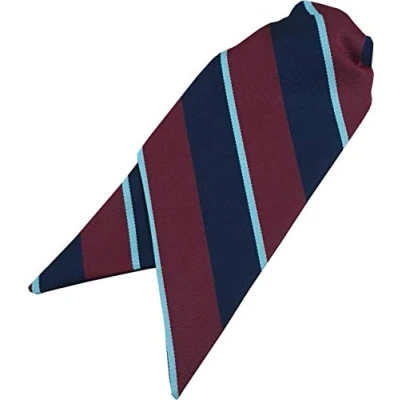 Image of Great British Tie Club Ladies RAF Royal Air Force Clip On Cravat