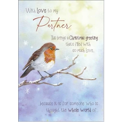 Image of doodlecards Partner Christmas Card Watercolour Robin In The Frost Medium Size for with Plain Envelope
