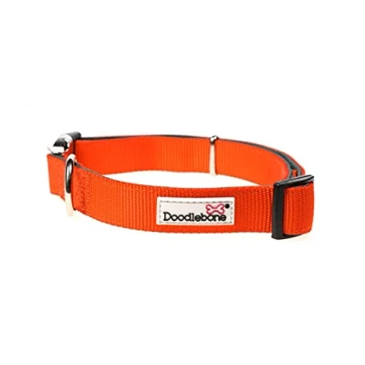 Image of Doodlebone Padded Collar, Tangerine, 6 11