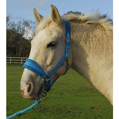 Image of Rhinegold Star Spangled Headcollar &amp; Rope Set,turquoise