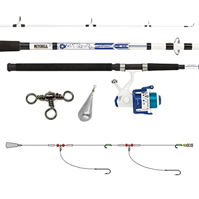 Image of Mitchell AMZ Neuron Dorade Spin Fishing Combo, Boat fishing, dorade, bottom sea bream, porgy, gilthead, triggerfish, seabass, flounder and whiting, white / blue, 2.12m 60 120g