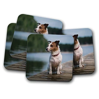 Image of 4 Set Cute Jack Russell Terrier Coaster Dog Puppy Funny Animal #15618