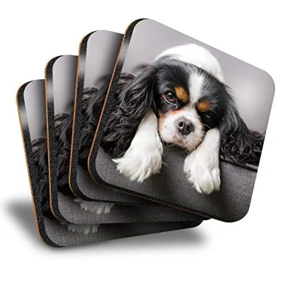 Image of Destination Vinyl ltd Great Coasters (Set of 4) Square Cavalier King Charles Spaniel Dog Drink Glossy Coasters/Tabletop Protection for Any Table Type #12388