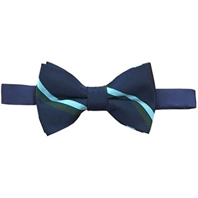 Image of Royal Corps of Signals (Ready Tied) Regimental Bow Tie