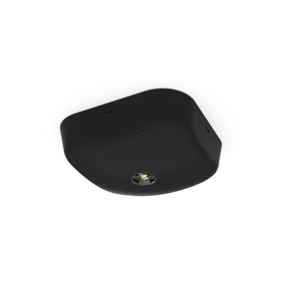 Image of Ansell Falcon Surface Emergency Downlight IP65 Non Maintained Black