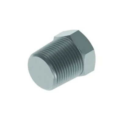 Image of 1/4 BSPT Solid Plug