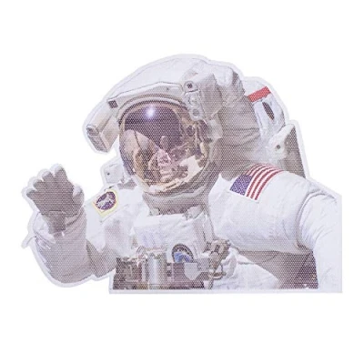 Image of Nasa Fun Ride with Space Astronaut Joke Passenger Car Window Sticker, one Size, RW NASAALHD