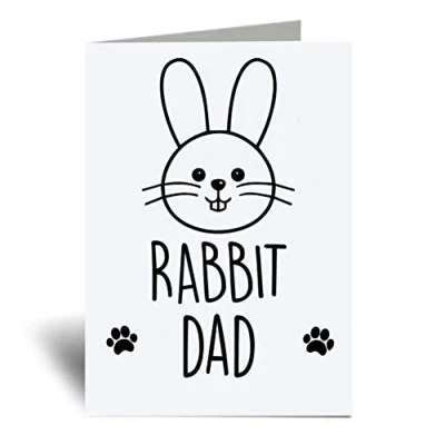 Image of 60 Second Makeover Limited Rabbit Dad Greeting Card Fathers Day Friend Funny Birthday Present
