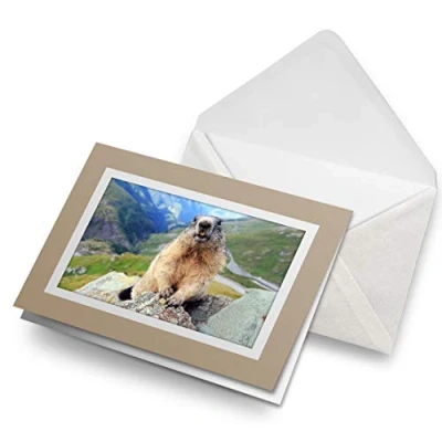 Image of Greeting Cards Biege (Insert) Cute Alpine Marmot Blank Greetings Card Birthday Kids Party Boys Girls #16849