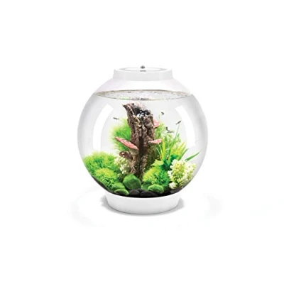 Image of CLASSIC 30 Aquarium with Multi Colour LED light remote control